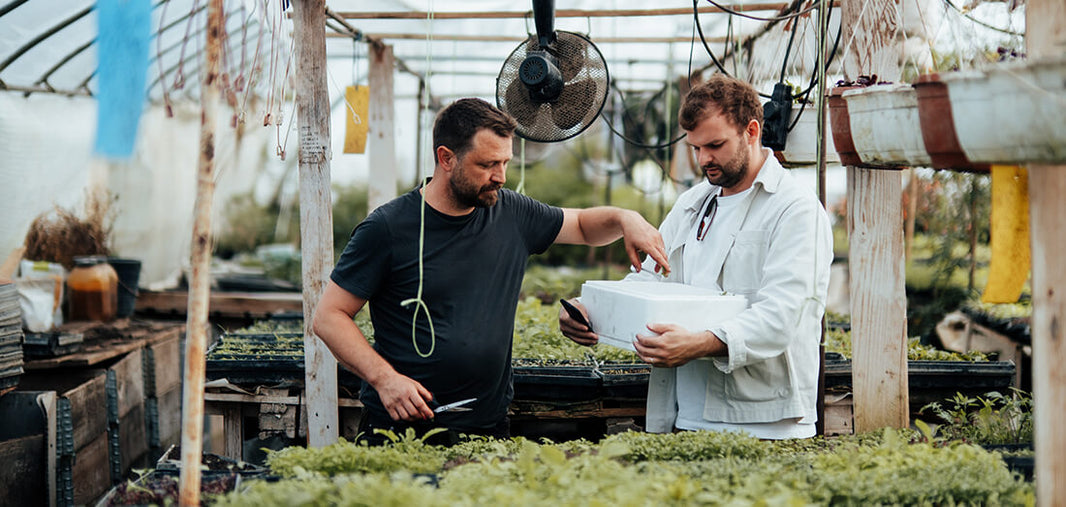 Varenie začína skôr ako v kuchyni